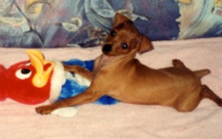 2001_leo_woody.jpg