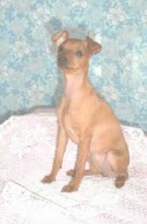 2003_brockville_molly1.jpg